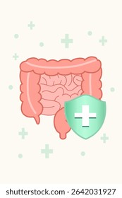 Gut Healing Process Illustration with Protective Shield and Healthy Intestine