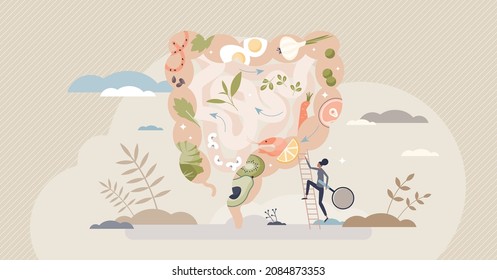 Gut health and healthy food consumption with eating diet tiny person concept. Stomach and gastrointestinal flora friendly balance with alkaline products and fermented nutrients vector illustration.