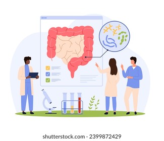 Gut health, healthy microbiome research vector illustration. Cartoon tiny people check composition and types of probiotic bacteria for digestive health, medical gastrointestinal infographics