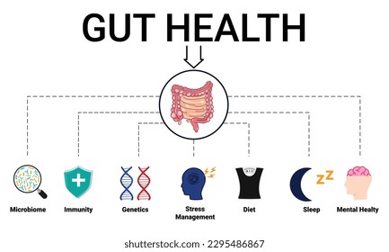 Gut health  poster. Editable vector illustration