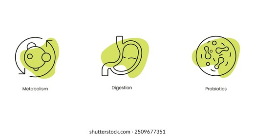 Gut Health Vector Icons: Metabolism, Digestion, and Probiotics