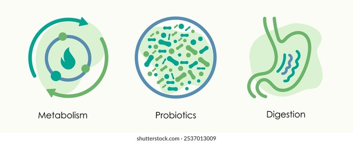 Ícones do vetor de saúde intestinal: metabolismo, digestão e probióticos