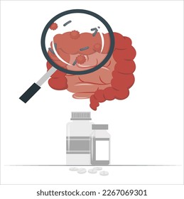 Gut health Vector isolated illustration of human microbiota. Probiotics - good beneficial bacteria. Lactobacillus, bifido bacteria, streptococcus, intestine icon. Medical infographics