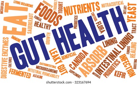 Gut Health Word Cloud On a White Background. 