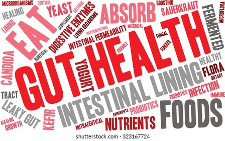 Gut Health Word Cloud On a White Background. 