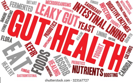 Gut Health Word Cloud On A White Background. 