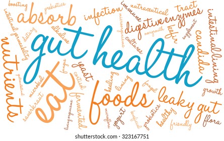 Gut Health Word Cloud On A White Background. 