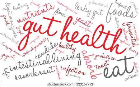 Gut Health Word Cloud On a White Background. 