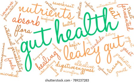 Gut Health word cloud on a white background. 