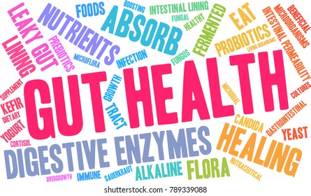 Gut Health word cloud on a white background. 