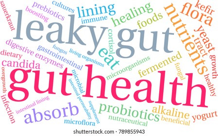 Gut Health word cloud on a white background. 