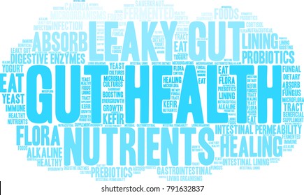 Gut Health Word Cloud On A White Background. 