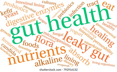 Gut Health word cloud on a white background. 
