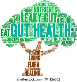 Gut Health Word Cloud On A White Background. 