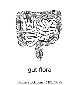 Gut human digestive system. Stock vector illustration of internal organs with microbiota inside.