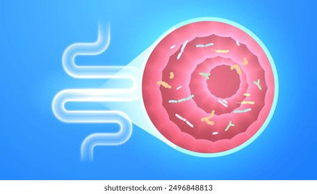 Gut Intestine Probiotic, microbiome human concept with healthy probiotic bacteria. Detailed close-up cross-section healthy intestine with good bacteria - medical banner