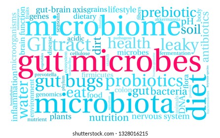 Gut Microbes word cloud on a white background. 