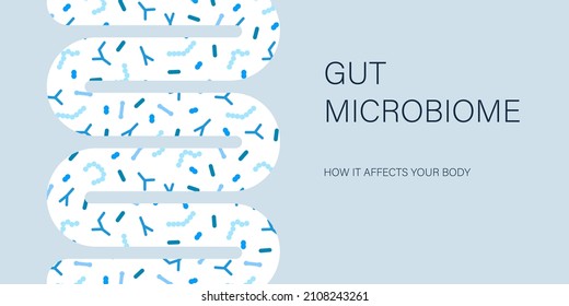 Gut microbiome banner. Human intestine microbiota with healthy probiotic bacteria. Flat abstract medicine illustration of microbiology checkup.