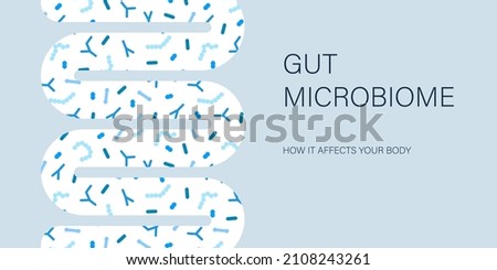 Gut microbiome banner. Human intestine microbiota with healthy probiotic bacteria. Flat abstract medicine illustration of microbiology checkup.