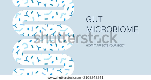 Gut microbiome banner. Human\
intestine microbiota with healthy probiotic bacteria. Flat abstract\
medicine illustration of microbiology\
checkup.