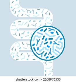 Gut microbiome concept. Human intestine microbiota with healthy probiotic bacteria. Flat abstract medicine illustration of microbiology checkup.