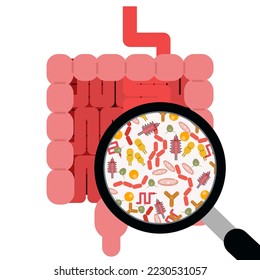 Gut microbiome concept. Illustration of a magnifying glass examining the human intestine microbiota 