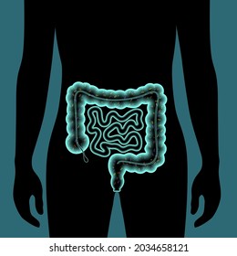 Gut microbiome medical poster. Microflora, bacteria, viruses and microbes in human intestine. Microbiota concept. metabolic functions, pathogens and diseases in digestive tract 3d vector illustration.