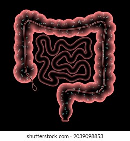 Gut microbiome medical poster. Microflora, bacteria, viruses and microbes in human intestine. Microbiota concept. metabolic functions, pathogens and diseases in digestive tract 3d vector illustration.