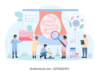Gut microbiome research vector illustration. Cartoon tiny people with magnifying glass check health of digestive tract and intestinal barrier for microbiota on infographic diagram of colon structure