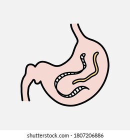 Gut parasites doodle, hand drawn vector doodle illustration of worm parasites inside the stomach, isolated on white background.