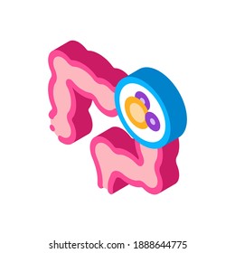 intestino en el vector del icono del estómago. intestino isométrico con signo estomacal. ilustración de símbolo aislado de color