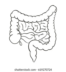 Diagram Of The Gastrointestinal Tract Stock Images, Royalty-Free Images ...