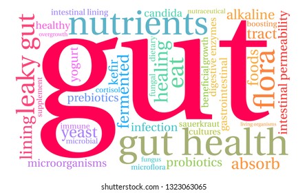 Gut word cloud on a white background. 