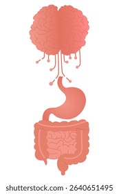 Gut-Brain Axis Anatomy with Neural Connections Vector Art