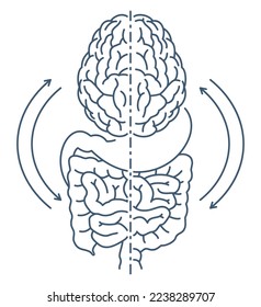 Gut-brain axis - biochemical signaling that takes place between the gastrointestinal tract and the central nervous system. Isolated vector scheme in thin line