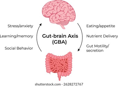 The GutBrain Axis and its Impact on Health Design Vector Illustration