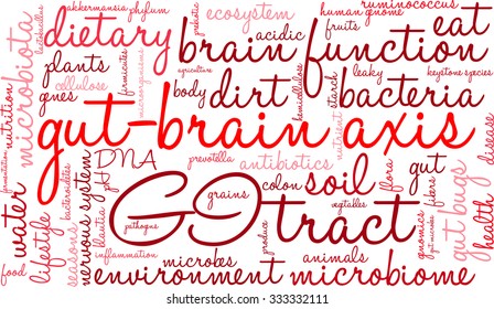 Gut-Brain Axis word cloud on a white background. 