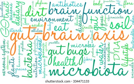 Gut-Brain Axis word cloud on a white background. 