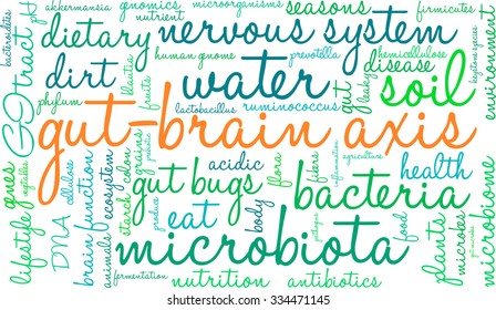 Gut-Brain Axis word cloud on a white background. 