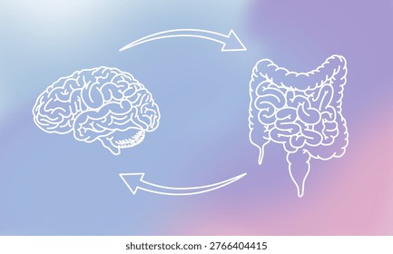 Gut-brain connection. The enteric nervous system in the human body. Signals from the brain to the digestive tract. Modern vector design for medical posters, clinics, or science studies.