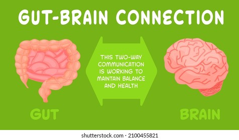 Gut-brain connection. Health of the brain and the gut are interwinded. Medical, scientific, healthcare concept. Editable vector illustration in a flat cartoon style on a green background. 