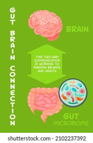 Gut-brain connection. Health of the brain and the gut are interwinded. Medical, scientific, healthcare concept. Editable vector illustration in a flat cartoon style on a green background.