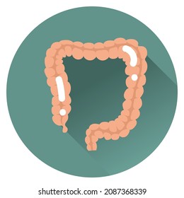 Guts. Isolated Round Icon with internal organs in vector illustration. Colorful, Medicine, clinic, hospital, social media, online, health.