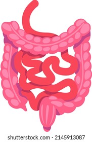 Guts semi flat color vector object. Digestive system. Full sized item on white. Human organ anatomy. Internal organ. Simple cartoon style illustration for web graphic design and animation