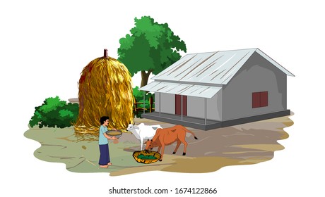 A guy in the Asian scene with a house takes care of the cow -illustration