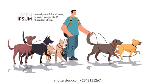 guy dog handler walks with pets best friends domestic animals walking service volunteering pet care concept