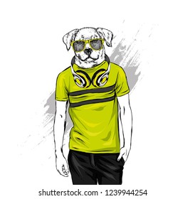 The guy with the head of a dog. Animal hipster in a t-shirt and headphones. Vector illustration for greeting card or poster, print on clothes. Fashion and style, clothing and accessories. 