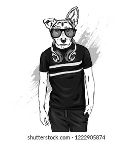 The guy in the t-shirt and headphones with the head of a dog. Hipster dog. Vector illustration for print on a postcard or clothes. Fashion & Style.