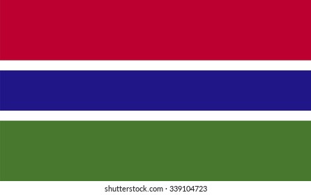 Guyana flag