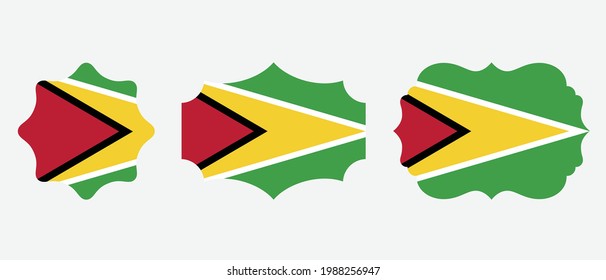 Guyana flag. flat icon symbol vector illustration